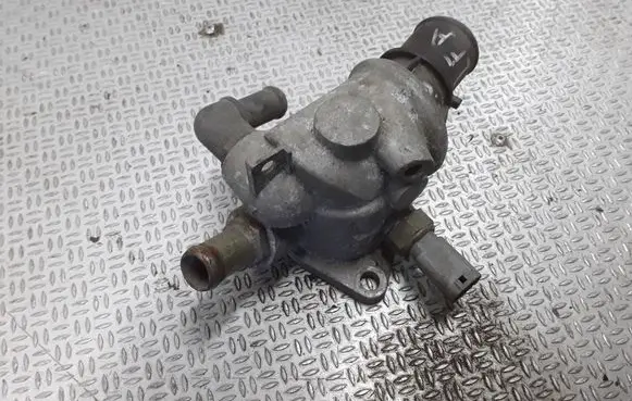 Thermostat/thermostat housing