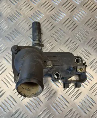 Thermostat/thermostat housing
