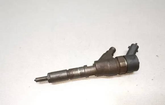 Citroen C5 Fuel injector 0445110076 9641742880