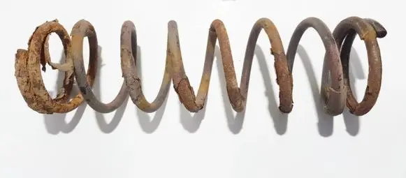 Ford Focus Rear coil spring