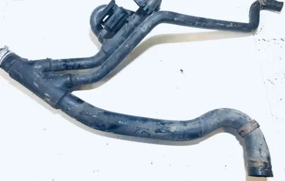 Renault Scenic I Engine coolant pipe/hose
