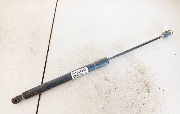 Tailgate/trunk strut/damper