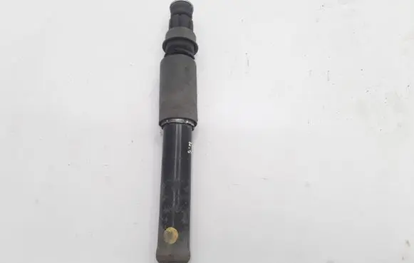 Renault Latitude (L70) Rear shock absorber/damper 562100036R