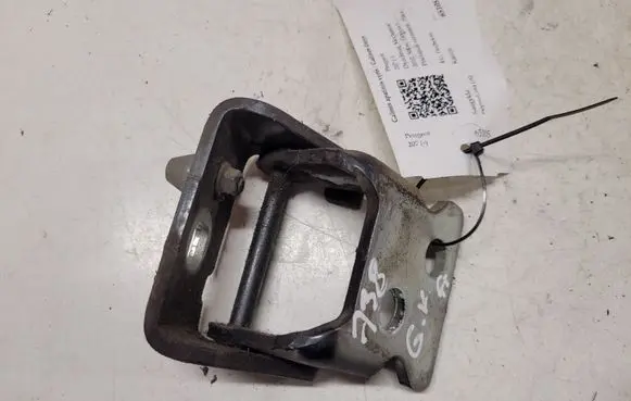 Peugeot 207 Rear door lower hinge