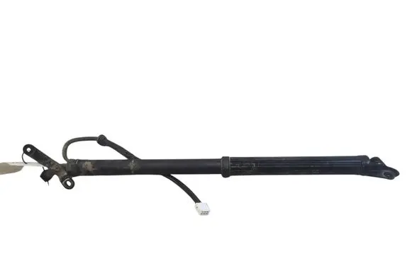 Toyota RAV 4 (XA50) Tailgate/trunk strut/damper 6892042020