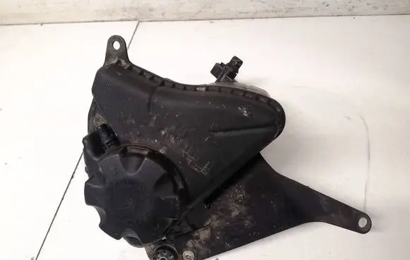 BMW 5 F10 F11 Coolant expansion tank/reservoir 1713760194903 10808611