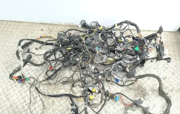 Renault Avantime Other wiring loom 6025409999 55M3D6023 60254D752D