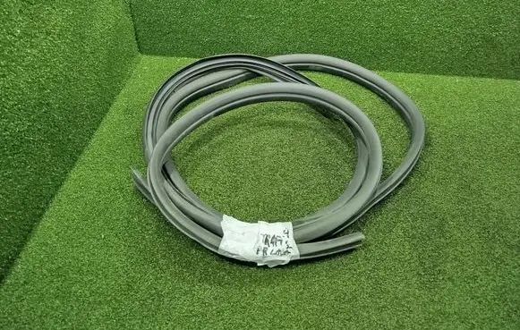 Renault Trafic III (X82) Front door rubber seal 