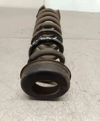 Rear coil spring