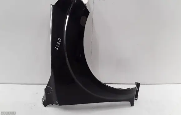 Fender