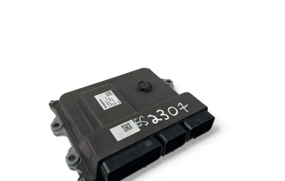 Engine control unit/module ECU