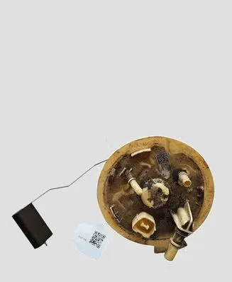 Ford Galaxy In-tank fuel pump E1G39H307BC