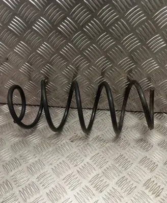 Front coil spring