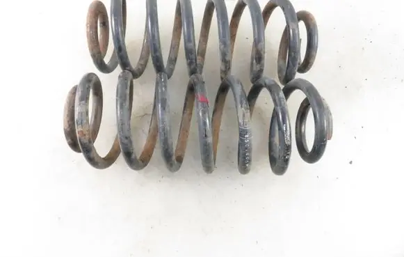 Seat Leon (1P) Rear coil spring 