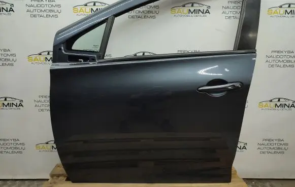 Renault Zoe Front door