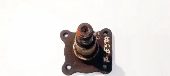 Ford Focus Stub axle 