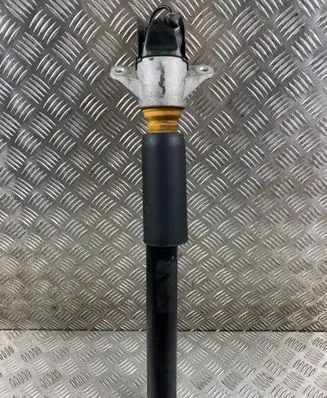 Audi Q7 4M Rear shock absorber/damper 4M0616031AD