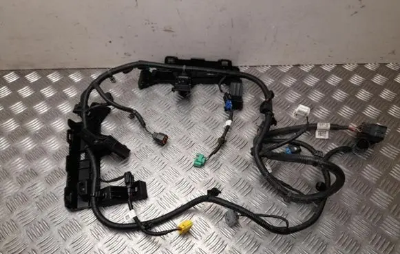 KIA EV6 Parking sensor (PDC) wiring loom 91880CV310