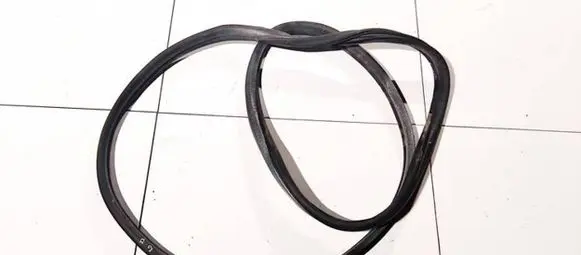 Citroen Xsara Picasso Rubber seal rear door 