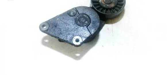 Citroen Berlingo Generator/alternator belt tensioner