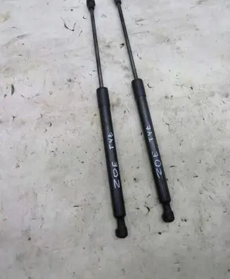 Renault Zoe Tailgate strut 1111