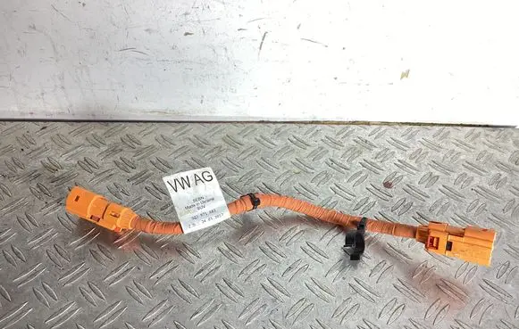 Other wiring loom