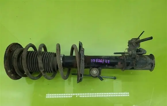 Opel Signum Front shock absorber with coil spring 824903014918