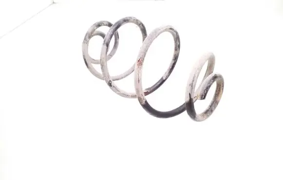 Opel Astra G Rear coil spring ST124010R