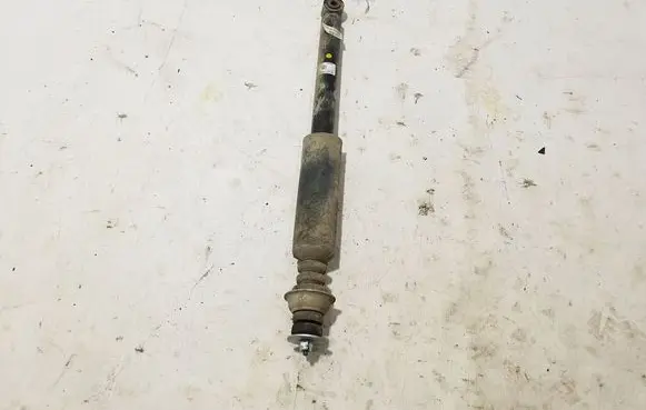 Dacia Spring Rear shock absorber/damper 562100090R