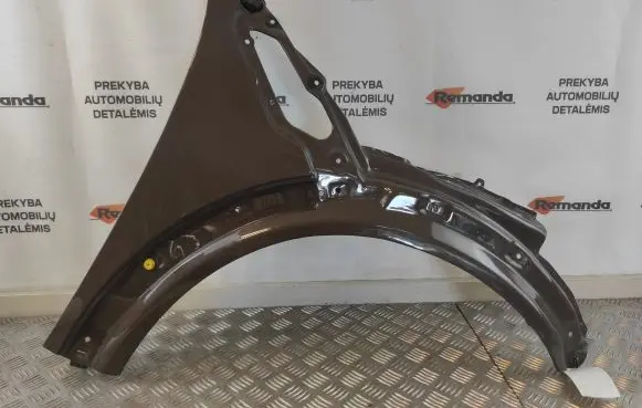 Mini Cooper Countryman R60 Fender