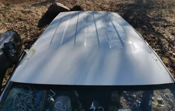 Seat Arona Roof 