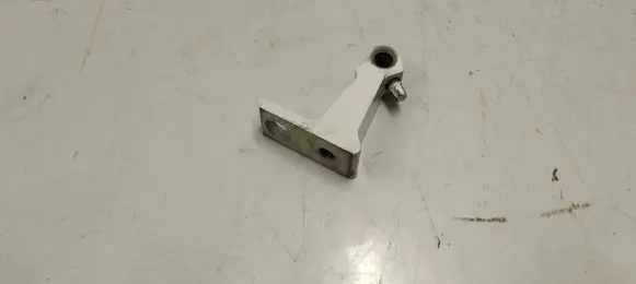 Rear door lower hinge