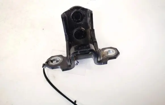 Rear door lower hinge
