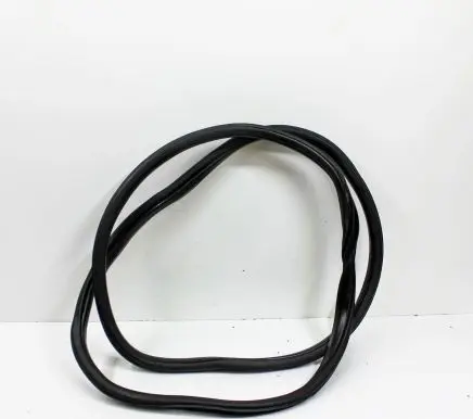 Ford F150 Rubber seal front coupe door 