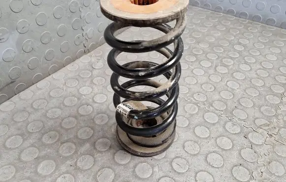 Rear coil spring