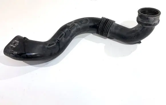 Dacia Duster II Air intake hose/pipe 165558896R