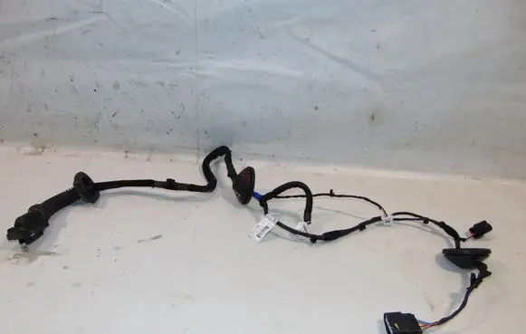 KIA Sportage Rear door wiring loom 91660F1060