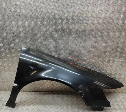 Volkswagen Phaeton Fender 3D0821022J