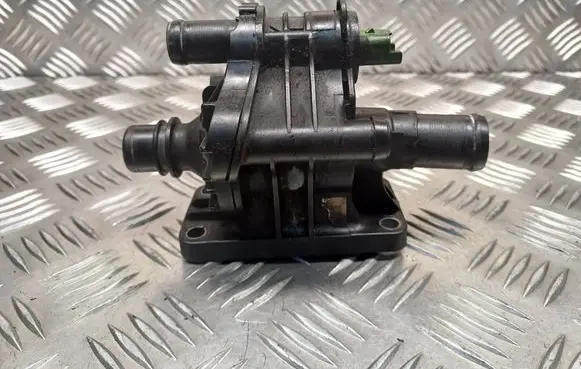 Thermostat/thermostat housing