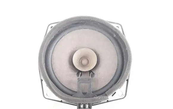 Rear door speaker