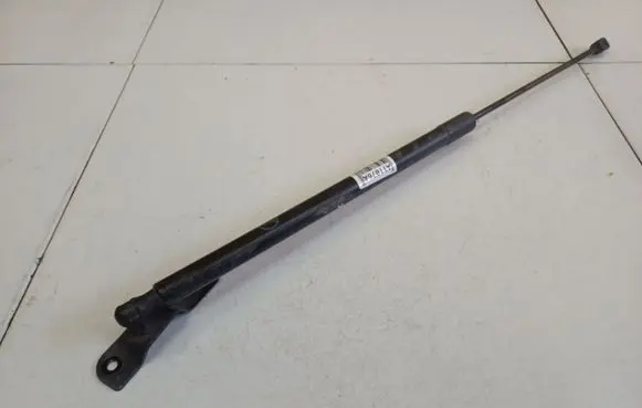 Ford C-MAX II Front bonnet/hood damper/strut AM51R406A10AF