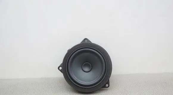 BMW X3 G01 Front door speaker 6809626
