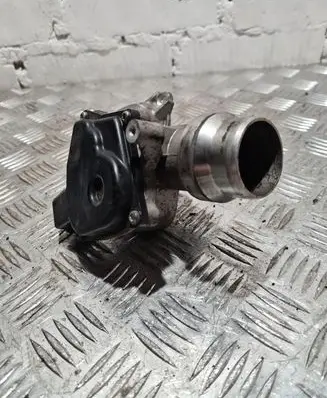 Renault Megane III Throttle valve 8200614985