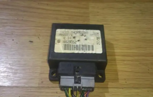 Peugeot 406 Other control units/modules 652905Z 69220001H