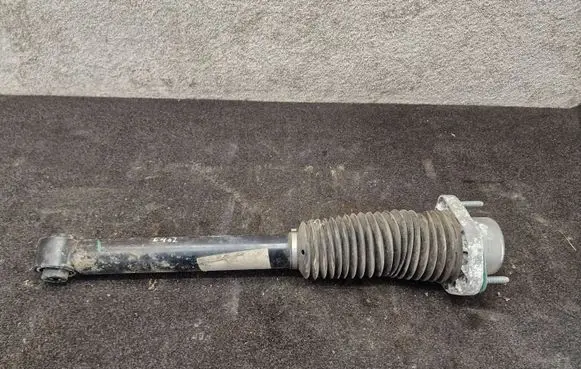 Land Rover Discovery 5 Rear shock absorber/damper HY3218W002BB