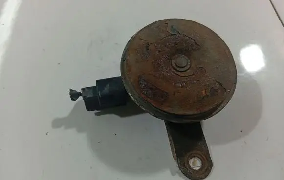 Horn signal