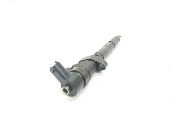 Renault Megane II Fuel injector 0445110