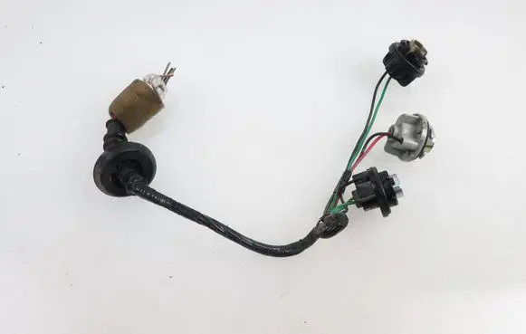 Nissan Pathfinder R50 Tail light bulb cover holder