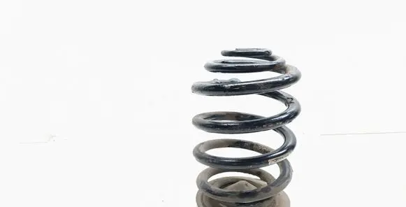 Rear coil spring