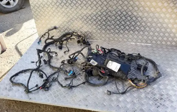 Ford Focus Engine installation wiring loom